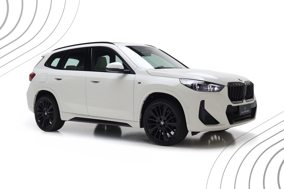X1 sDrive20i M Sport